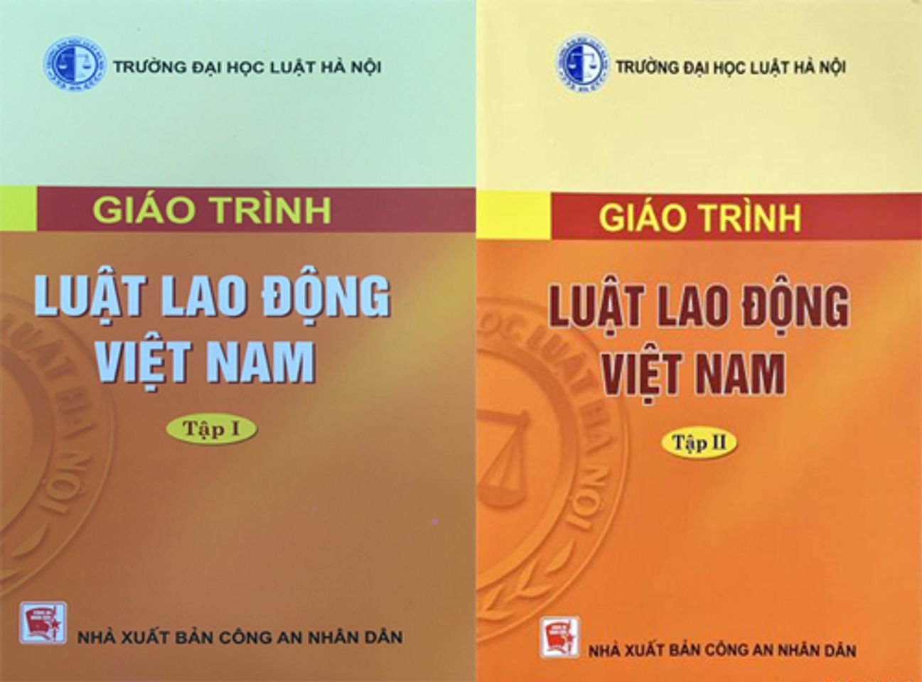 giáo trình lao động Việt Nam tập 1 và tập 2